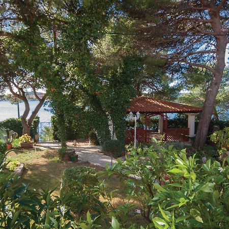Cozy Apartment In Brodarica With Wifi Exterior foto